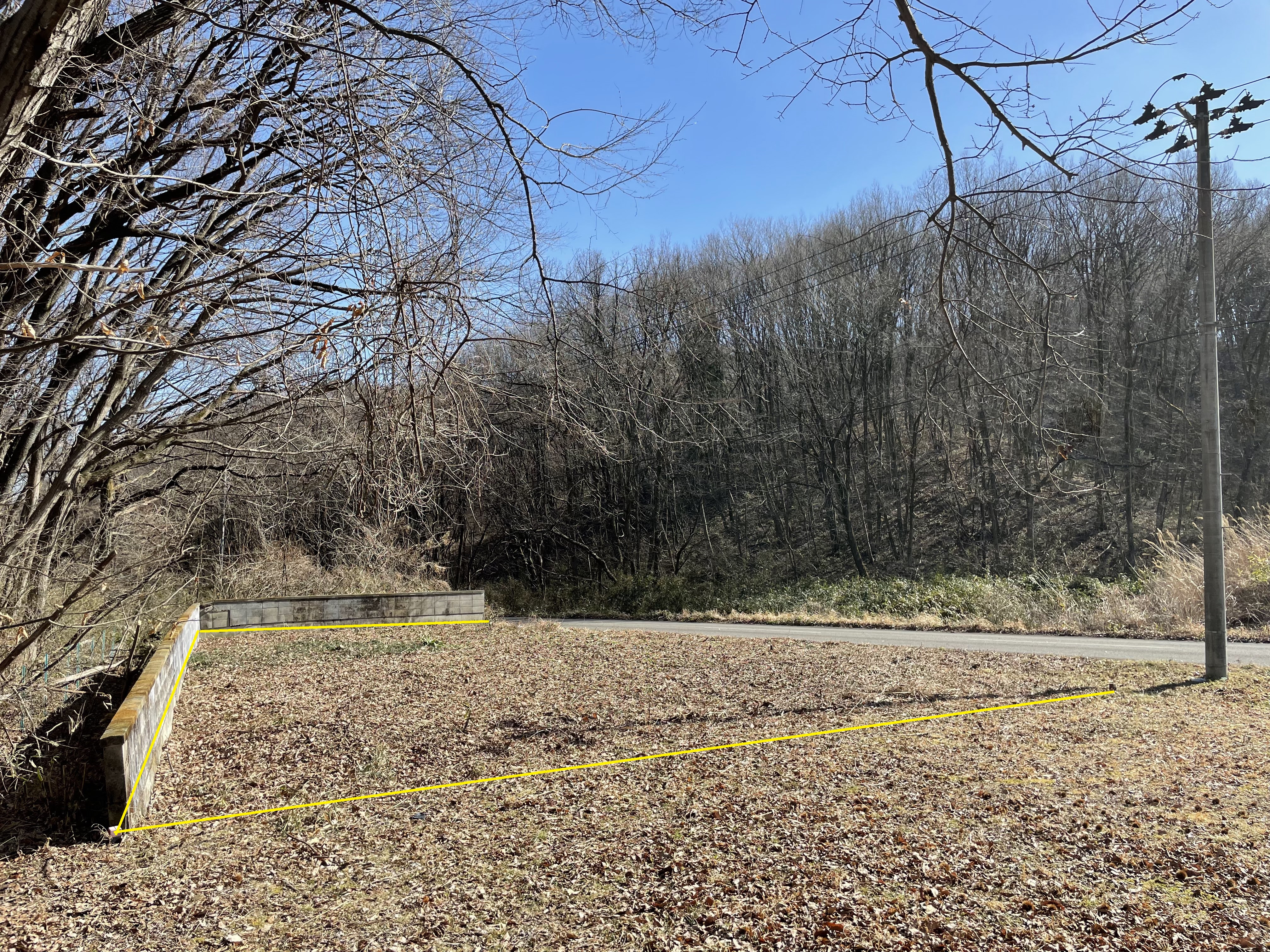 越境している枝は伐採完了