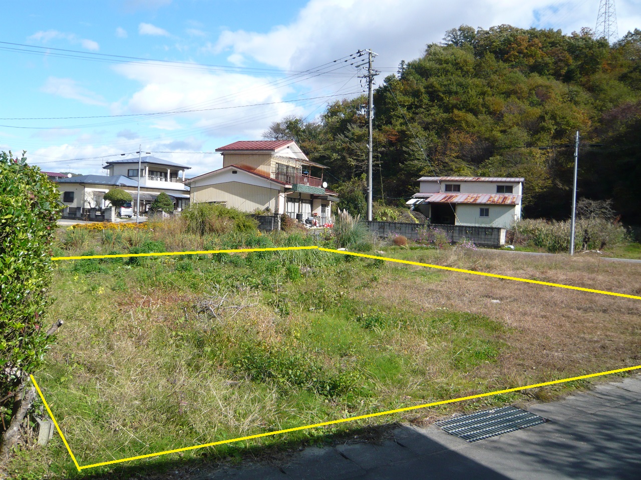 （南から撮影）